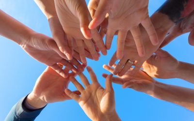 Create Your Own Business Dream Team