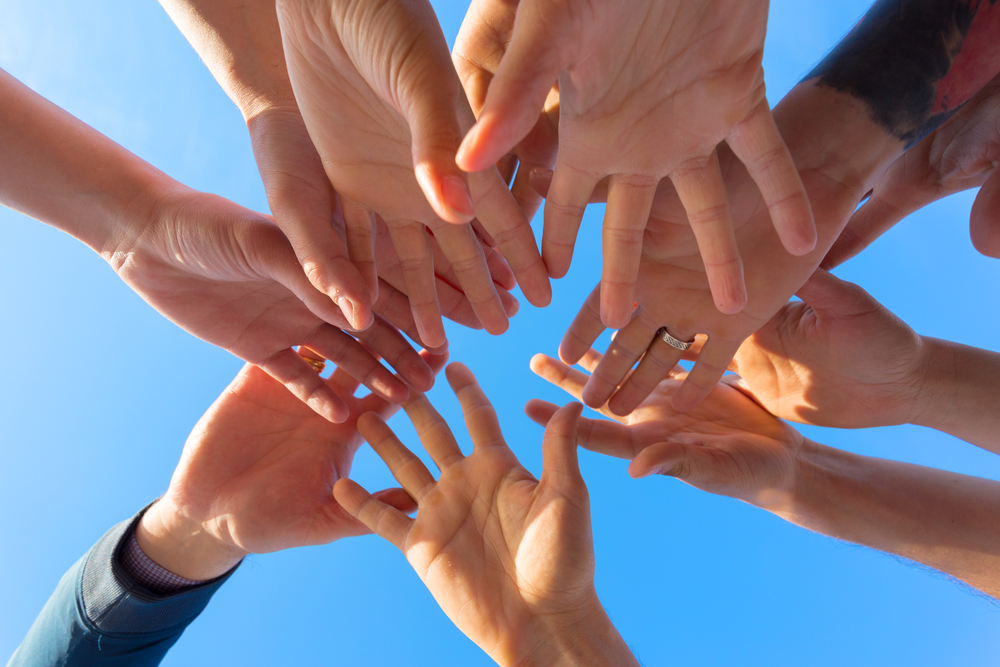 Create Your Own Business Dream Team