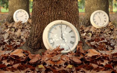 Tips For Navigating Seasons Of Change In Life/Work
