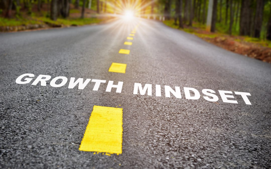 Nurturing Success: The Power of a Growth Mindset in Leadership…